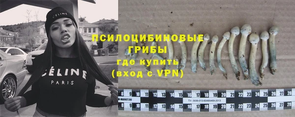 а пвп мука Елабуга