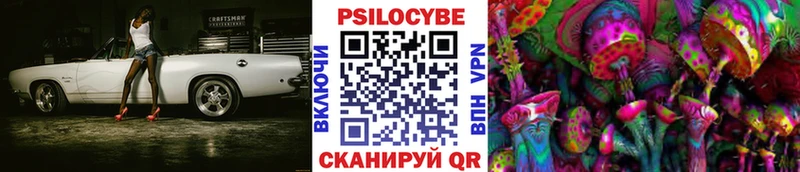 shop какой сайт  Ялуторовск  Псилоцибиновые грибы мицелий  сколько стоит 